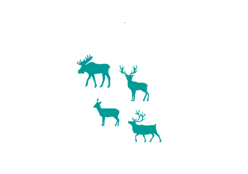 hjortevilt logo